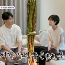 사야