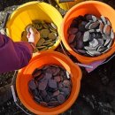 BLACK PINE RESORT 이미지