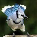 바람결 작은집 이미지