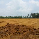 꼬꼬농장 이미지