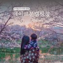 포천개울가 | 서울근교 호수 벚꽃캠핑 키즈캠핑장! 포천 레이크문캠핑장