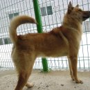 우리집 개구쟁이 이미지