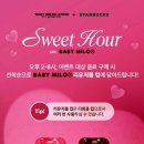 뉴헤이븐 이미지