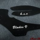 Blades V hso 이미지