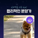 독포유 네이버블로그