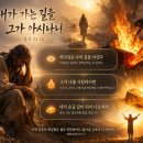 욥기의 해석학적 본문 비평 - 신정론적 해석의 비판적 고찰 이미지