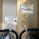 대전놀거리 여행자 필수 코스 트래블라운지