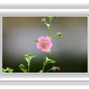 축복공인중개사사무소 이미지