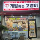 개밥파는고양이 네이버블로그