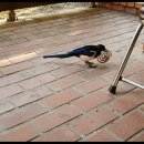 까치PC방 이미지