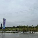 연화1마을회관 | 강릉 물회 맛집 웨이팅에 지친 자의 연화마을 꼬막비빔밥 후기