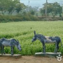 횡계마을회관 이미지