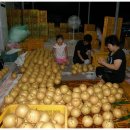 봉현농장 이미지