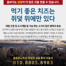 평택브레인공인중개사사무소 이미지