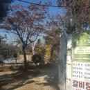 물맑은집 이미지