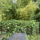 해피테라스 이미지