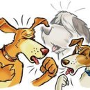 삼송사랑 동물의료센터 이미지