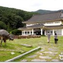 송강유도관 이미지