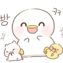 청솔식육점 이미지