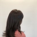 플라쥬살롱