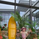 동보마켓 | 빌라쥬 드 아난티 수영장 스프링팰리스 오너스풀 후기