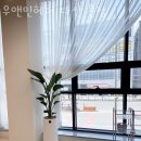 민헤어미용실 이미지