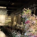 수원-1206 | W2. 수원 파티웨딩유 아이폰 스냅 [올로르] 계약후기(짝꿍코드 공유⭕️)