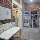 더멍멍 | 대구 애견호텔 애견유치원 추천｜멍멍아학교가자 상인점 솔직후기