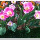 컴퓨터 교실 중급반 이미지