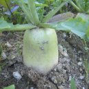 부곡주유소 이미지