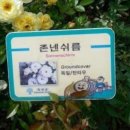 보배자동차상사 이미지