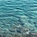 [🌻 ON ☀️DAY] deep blue ocean 🌊 이미지