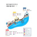 개아범 | 애견동반 부산 해운대 블루라인파크 해변열차 스카이캡슐, 예약 가격 주차장 꿀팁