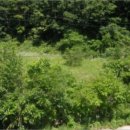 무릉도원면-4 이미지