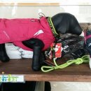 다원 동물병원 이미지