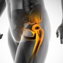 사동휘트니스 이미지