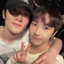 버블스타 이미지