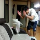 솔이분식 이미지