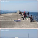 신신낚시신항만점