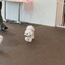 다율 상상 약국 이미지