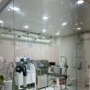 헤이뚜뚜 네이버블로그