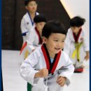 경희대 KTIGERS 태권도 | 계룡태권도 경희대KTIGERS태권도 진정한 태권도의 매력