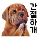 태경합동공인중개사사무소 이미지