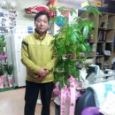 국제광고사 - 서구 | 국제광고사