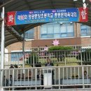 영광중앙초등학교 이미지