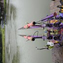 샘골낚시터 이미지