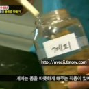 운대농장 티스토리
