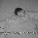 또요거트