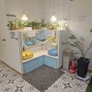 삼인요양병원 | 부산 아이와 가볼만한 곳｜헬로우밀가루 사상점 내돈내산 솔직후기(부제:8살 아이도 괜찮을까?)
