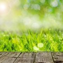 세정한의원 이미지